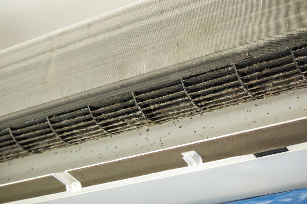 Best Air Duct Cleaning Near Me  in Langdon, ND